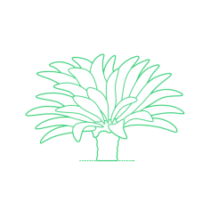 Plants Cycads Stencil Svg Vector, Free Vectors File